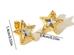 HY Wholesale Jewelry Popular Earrings 316L Stainless Steel Earrings Jewelry-HY0158E0536