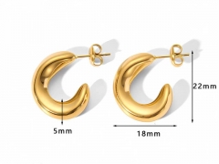 HY Wholesale Jewelry Popular Earrings 316L Stainless Steel Earrings Jewelry-HY0158E0063