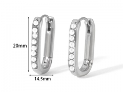 HY Wholesale Jewelry Popular Earrings 316L Stainless Steel Earrings Jewelry-HY0158E0342