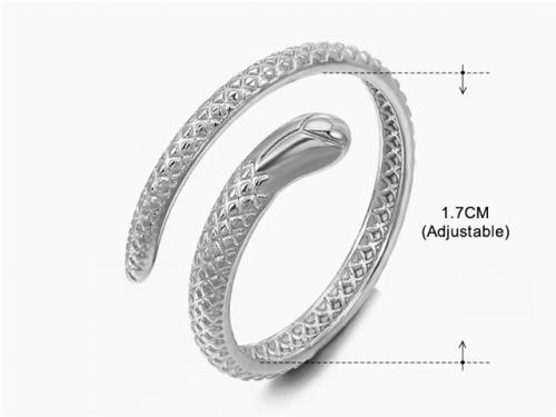 HY Wholesale Popular Rings Jewelry Stainless Steel 316L Rings-HY0159R0872