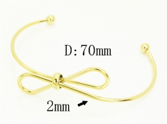 HY Wholesale Bangles Jewelry Stainless Steel 316L Popular Bangle-HY14B0305ND