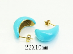 HY Wholesale Earrings Jewelry 316L Stainless Steel Earrings Jewelry-HY94E0284OR