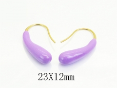 HY Wholesale Earrings Jewelry 316L Stainless Steel Earrings Jewelry-HY94E0335SML