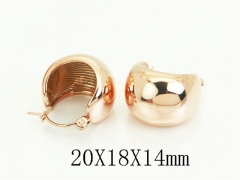 HY Wholesale Earrings Jewelry 316L Stainless Steel Earrings Jewelry-HY30E2160PF