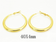 HY Wholesale Earrings Jewelry 316L Stainless Steel Earrings Jewelry-HY60E2066KR