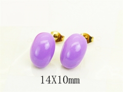 HY Wholesale Earrings Jewelry 316L Stainless Steel Earrings Jewelry-HY94E0325DML