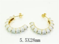 HY Wholesale Earrings Jewelry 316L Stainless Steel Earrings Jewelry-HY80E1704PX