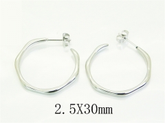 HY Wholesale Earrings Jewelry 316L Stainless Steel Earrings Jewelry-HY30E2117LW