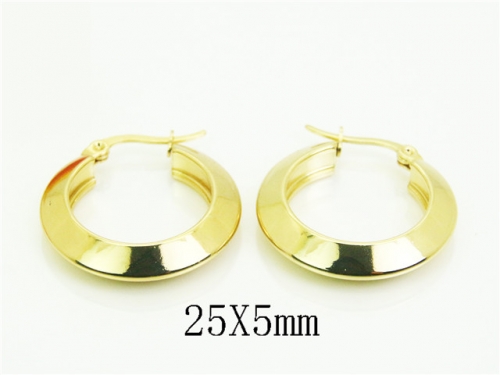 HY Wholesale Earrings Jewelry 316L Stainless Steel Earrings Jewelry-HY58E2005XJL