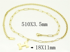 HY Wholesale Stainless Steel 316L Jewelry Hot sale Necklaces-HY04N0114HZZ