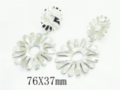 HY Wholesale Earrings Jewelry 316L Stainless Steel Earrings Jewelry-HY30E2299HQQ