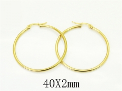 HY Wholesale Earrings Jewelry 316L Stainless Steel Earrings Jewelry-HY70E1558IL