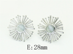 HY Wholesale Earrings Jewelry 316L Stainless Steel Earrings Jewelry-HY80E1769LL