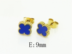 HY Wholesale Earrings Jewelry 316L Stainless Steel Earrings Jewelry-HY35E0183GIJ