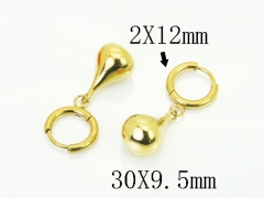 HY Wholesale Earrings Jewelry 316L Stainless Steel Earrings Jewelry-HY32E0725OL