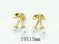 HY Wholesale Earrings Jewelry 316L Stainless Steel Earrings Jewelry-HY80E1857NB