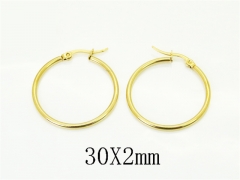 HY Wholesale Earrings Jewelry 316L Stainless Steel Earrings Jewelry-HY70E1554IX