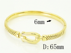 HY Wholesale Bangles Jewelry Stainless Steel 316L Fashion Bangle-HY04B0066HLX