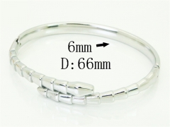 HY Wholesale Bangles Jewelry Stainless Steel 316L Fashion Bangle-HY04B0016HLE