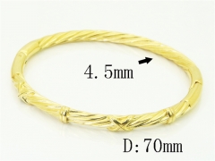 HY Wholesale Bangles Jewelry Stainless Steel 316L Fashion Bangle-HY04B0035HLW