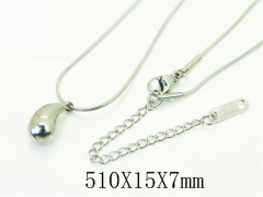 HY Wholesale Stainless Steel 316L Jewelry Hot sale Necklaces-HY59N0118LL