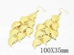 HY Wholesale Earrings Jewelry 316L Stainless Steel Earrings Jewelry-HY80E1862HLV