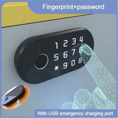 TM-Z003 Fingerprint Lock For Cabinet Drawer