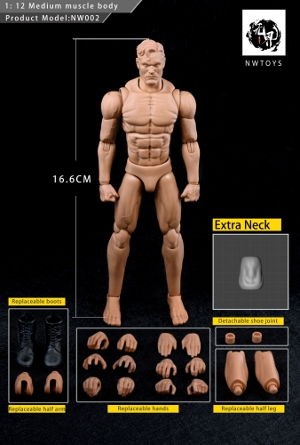 NWToys figure body 1/12 NW002