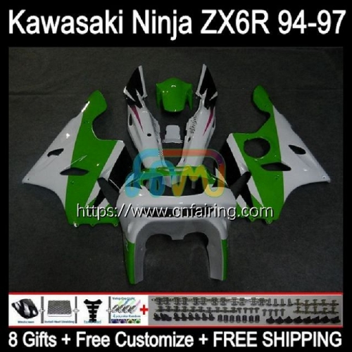 Body Kit For KAWASAKI NINJA ZX 636 600CC 600 CC ZX-636 ZX636 ZX-6R ZX 6R 6 R ZX6R 94 95 96 White green 97 ZX600 1994 1995 1996 1997 Fairings 29HM.17