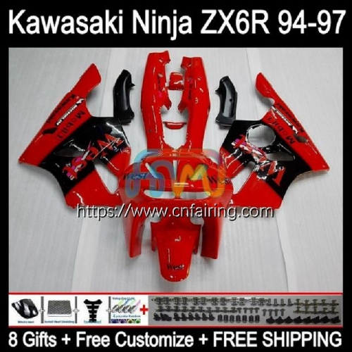 Body For KAWASAKI NINJA ZX600 Red West hot ZX-636 ZX 6R 6 R 1994 1995 1996 1997 ZX6R ZX636 ZX 636 600CC 60 0 CC ZX-6R 94 95 96 97Fairing Kit 29HM.34