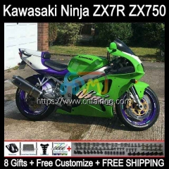 Ninja ZX7R