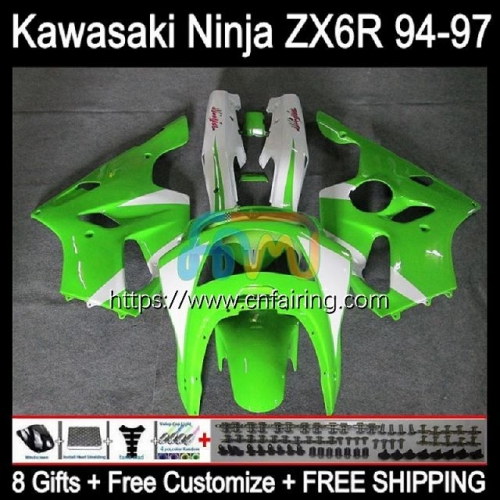 Body Kit For KAWASAKI NINJA ZX 636 600CC 600 CC ZX-636 ZX636 ZX-6R ZX 6R 6 R ZX6R 94 95 96 97 ZX600 1994 1995 1996 1997 Fairings Light Green 29HM.24