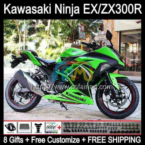 Injection mold For KAWASAKI NINJA ZX3R EX300 Factory Green EX ZX 300R ZX-3R Body ZX300R 13 14 15 16 17 EX-300 2013 2014 2015 2016 2017 Fairings 4HM.6