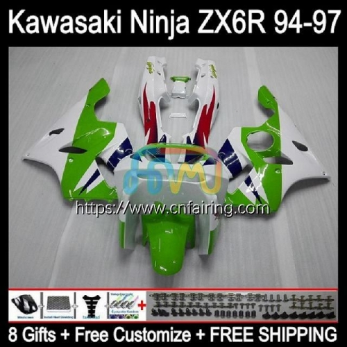 Body For KAWASAKI NINJA ZX600 ZX-636 ZX 6R 6 R 1994 1995 1996 1997 ZX6R ZX636 ZX 636 600CC 600 CC ZX-6R 94 95 96 White green 97 Fairing Kit 29HM.43