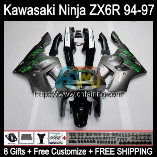 Body For KAWASAKI NINJA ZX600 ZX-636 ZX 6R 6 R 1994 1995 1996 1997 ZX6R ZX636 ZX 636 600CC 600 CC ZX-6R 94 95 96 97 Fairing Kit 29HM.32 Silver Grey