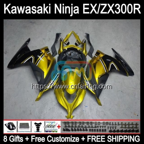 Injection mold For KAWASAKI NINJA ZX3R EX300 EX ZX 300R ZX-3R Body ZX300R 13 14 15 16 17 EX-300 2013 2014 Golden Black 2015 2016 2017 Fairings 4HM.49