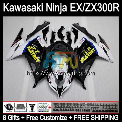 Injection mold For KAWASAKI NINJA ZX3R White black EX300 EX ZX 300R ZX-3R Body ZX300R 13 14 15 16 17 EX-300 2013 2014 2015 2016 2017 Fairings 4HM.43