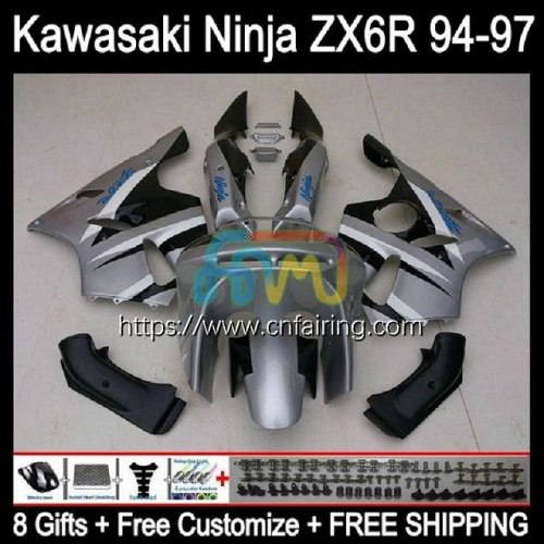 Body For KAWASAKI NINJA ZX600 ZX-636 ZX 6R 6 R 1994 1995 Grey Black 1996 1997 ZX6R ZX636 ZX 636 600CC 600 CC ZX-6R 94 95 96 97 Fairing Kit 29HM.49