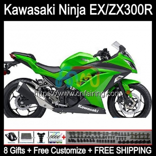 Injection mold For KAWASAKI NINJA ZX3R EX300 EX ZX 300R ZX-3R Body ZX300R 13 14 15 16 17 EX-300 2013 2014 2015 2016 2017 Light Green Fairings 4HM.26