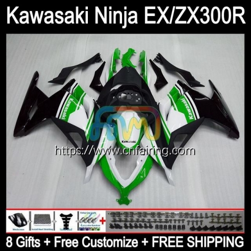 Injection mold Body For KAWASAKI NINJA ZX-3R Green black ZX300R 2013 2014 2015 2016 2017 EX ZX 300R EX-300 ZX3R EX300 13 14 15 16 17 Fairing 4HM.58