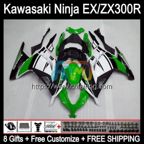 Injection mold Body For KAWASAKI NINJA ZX-3R ZX300R 2013 2014 2015 2016 2017 EX ZX 300R Green white EX-300 ZX3R EX300 13 14 15 16 17 Fairing 4HM.59