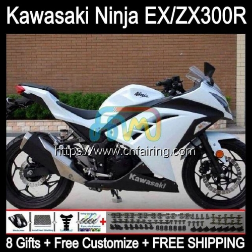 Injection mold For KAWASAKI NINJA ZX3R EX300 Glossy White EX ZX 300R ZX-3R Body ZX300R 13 14 15 16 17 EX-300 2013 2014 2015 2016 2017 Fairings 4HM.16