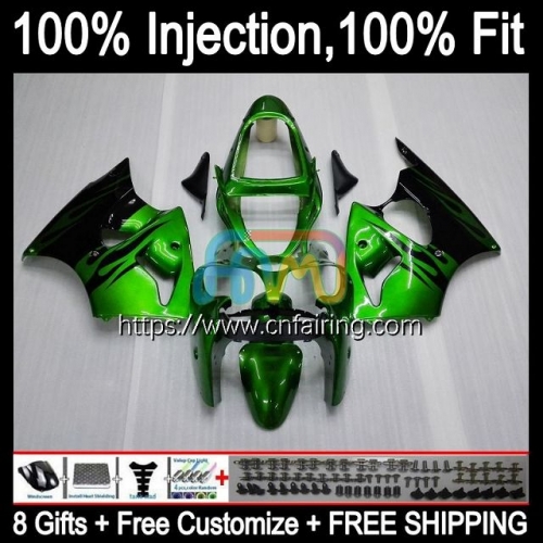 Injection mold Body For KAWASAKI NINJA ZX 6R ZX-636 ZX Green Flames 600 CC 6 R ZX636 ZX 636 ZX-6R ZX6R 00 01 02 ZX600 2000 2001 2002 Fairings 24HM.117