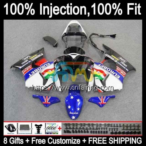 Injection mold Body For KAWASAKI NINJA ZX 6R ZX-636 ZX 600 CC 6 R ZX636 White blue ZX 636 ZX-6R ZX6R 00 01 02 ZX600 2000 2001 2002 Fairings 24HM.8