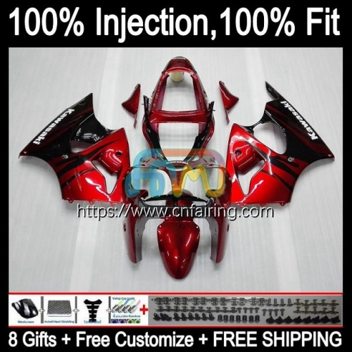 Injection mold Body For KAWASAKI NINJA ZX 6R ZX-636 Red Flames ZX 600 CC 6 R ZX636 ZX 636 ZX-6R ZX6R 00 01 02 ZX600 2000 2001 2002 Fairings 24HM.110