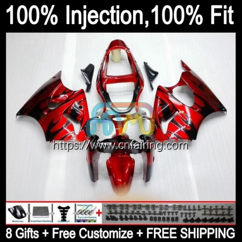 Injection mold Body For KAWASAKI NINJA ZX 6R ZX-636 ZX 600 Black Flames CC 6 R ZX636 ZX 636 ZX-6R ZX6R 00 01 02 ZX600 2000 2001 2002 Fairings 24HM.99