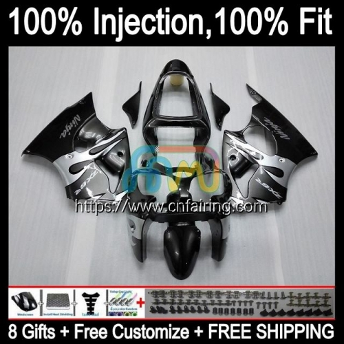 Injection mold Body For KAWASAKI NINJA ZX 6R ZX-636 ZX 600 CC 6 R ZX636 ZX 636 ZX-6R ZX6R 00 01 02 ZX600 Silver fames 2000 2001 2002 Fairings 24HM.98