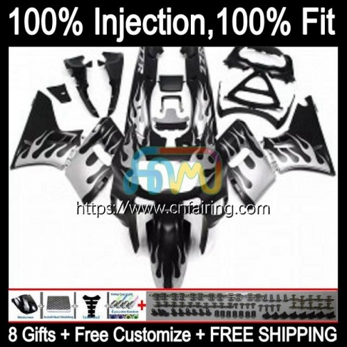 OEM Injection mold For KAWASAKI NINJA ZZR400 2000 2001 2002 2003 2004 2005 2007 ZZR-400 ZZR 400 93 94 Silver Flames 95 96 97 98 99 Fairing Kit 26HM.65