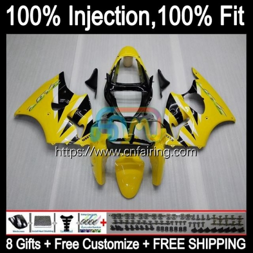 Injection mold Body For KAWASAKI NINJA Light Yellow ZX 6R ZX-636 ZX 600 CC 6 R ZX636 ZX 636 ZX-6R ZX6R 00 01 02 ZX600 2000 2001 2002 Fairings 24HM.115