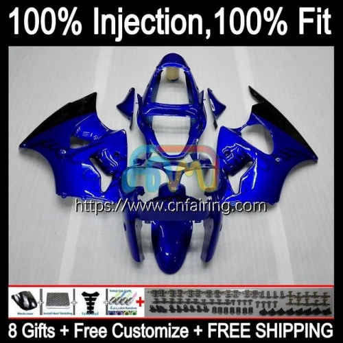 Injection mold Body For KAWASAKI NINJA ZX-6R ZX600 ZX-636 ZX 600 CC Blue&flames 6 R 2000 2001 2002 ZX 6R ZX636 ZX 636 ZX6R 00 01 02 Fairing 24HM.123